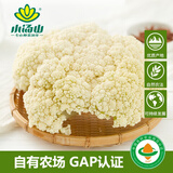 小汤山 散白菜花 300g 基地直供新鲜蔬菜GAP认证