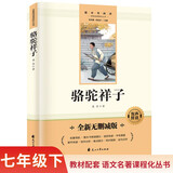 骆驼祥子完整无删减七年级下册初一必读课外书同步人教教材配套阅读语文名著课程化丛书赠阅读专项手册扫码有声伴读
