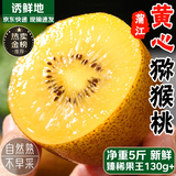京地达蒲江黄心猕猴桃 5斤臻稀巨无霸单果130g+ 奇异果香甜新鲜水果包邮