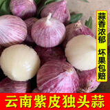 味小仙云南紫皮独头蒜干蒜 2025新蒜大蒜头蔬菜生鲜 特大号(3.4cm-3.7cm)干蒜 3斤