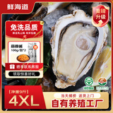 鲜海道【品质】鲜海道生态生蚝  乳山牡蛎 活鲜海蛎子生鲜贝类 品质升级4XL-净重9斤