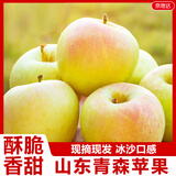 京地达山东青森苹果净重8.5斤单果80mm王林青苹果应季水果源头直发包邮