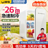 闲鸟（XIANNIAO）车载冰箱小型迷你小冰箱车家两用宿舍家用办公室母乳便携制冷藏箱 双核豪华款-冷藏加热 车家两用 20L mini可冷冻制冷制热出租房屋冰柜