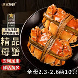 【活蟹】漁家师傅大闸蟹全母2.3-2.6两10只去绳足重鲜活螃蟹现货生鲜礼盒源头直发