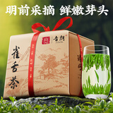 音朗茶叶绿茶 明前特级雀舌 2025新茶春茶叶嫩芽自己喝传统纸包125g
