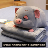 达克鸭 卡通汽车抱枕被子两用多功能午睡枕头空调毯子珊瑚绒个性可爱靠 灰色猪 中号50厘米(含毯子1*1.7米)