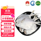 鲜京采 冷冻舟山地标鲜捕大号银鲳鱼净重3斤 5-6条/斤 源头直发