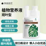 兰景天植物营养液观叶浓缩植物家用发财树绿萝文竹防黄叶绿植肥料500ml