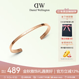 丹尼尔惠灵顿（DanielWellington）DW手镯男首饰玫瑰金手环情侣对镯生日礼物送女友DW00400001