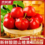 京愿  山东新鲜山楂果红果冰糖葫芦原料大金星山里红山楂新鲜孕妇水果 【实惠试吃】净重1斤大果 30-40个/斤