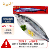 卖鱼七郎青岛海捕大鲅鱼整条4.5-5.5斤冷冻特大马鲛鱼送年货礼盒源头直发