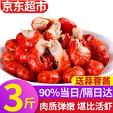 弹指鲜生麻辣小龙虾尾 熟冻大号虾球固形物含量≥53%冷冻虾尾夜宵烧烤食材 【送蒜蓉酱】大号3斤 京仓发货