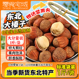 零食宅域东北特产手拍大榛子铁岭2025新果原味薄壳坚果炒货干果年货口500g