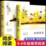 青铜葵花+草房子正版全套2册正版图书 曹文轩小说系列10-12周岁三四五六年级小学生必读课外经典阅读 百年百部中国儿童文学经典书系 语文老师推荐经典书目五六年级上下册看的儿童读物书籍 