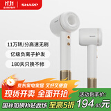 夏普【夏普小浪花】家用高速吹风机 大功率速干电吹风低噪音吹风筒等离子护发IB-RP45C-C