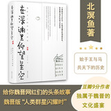 在深渊里仰望星空魏晋名士的卑微与骄傲 北溟鱼著政治权力历史传记魏晋南北朝
