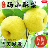 京地达梨砀山梨酥梨净重4.5斤单果250g+梨子当季新鲜水果源头直发包邮