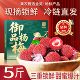 四叔公果蔬冰鲜杨梅【顺丰冷链-多地次日达】新鲜入库孕妇酸甜水果礼物礼盒 精选果｜2斤装（实惠尝鲜）较划算 净1.5 【三重锁鲜】老农臻选果王｜爆甜