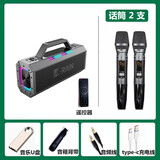 ROBERILLINE德国品牌高端新款户外K歌音响 大功率广场舞重低音炮乐器演奏音箱蓝牙无线长续航便携移动户外专用 柏林之音【双话筒】