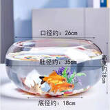 橙央玻璃鱼缸特大号圆形透明生态创意鱼缸客厅桌面加厚玻璃鼓缸金鱼缸 特大号鼓缸35厘米+彩石+水草