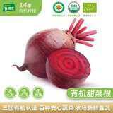 有机汇 有机甜菜根 红菜头 榨汁营养疗愈有机蔬菜 零农残 健康放心吃 500g