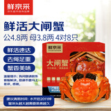 【活蟹】鲜京采 鲜活大闸蟹 公蟹4.8两 母蟹3.8两 4对8只 去绳足重 蟹类螃蟹生鲜礼盒 