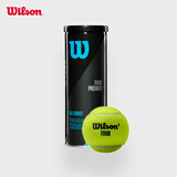 Wilson威尔胜多场地比赛训练网球TOUR PREMIER罐装网球3颗装