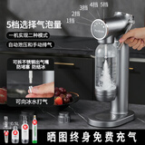 prosoda 气泡水机苏打水机家用自制碳酸饮料打气机器可乐汽水气泡机奶茶店商用 G720钛金灰 自动泄压（配普通水瓶）