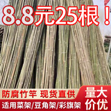 大海边 竹竿菜园搭架豆角黄瓜番茄爬藤架园艺篱笆围栏旗杆葡萄架批发 1cm粗1米长25根