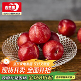 青苹果水晶光泽玻璃水果盘轻奢家用客厅会所婚庆装饰8.5英寸