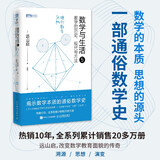 数学与生活5：数学的历史、现代与方法 日本数学教育名家远山启的通俗数学史 讲明现代数学的全部意义 图灵出品
