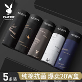 花花公子男士内裤男大码纯棉抗菌四角裤印花短裤平角裤3XL