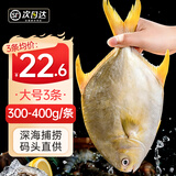 尚致金鲳鱼特大鲳鱼鲜活新鲜冷冻平鱼金昌鱼扁鱼冰鲜海鱼镜鱼深海鱼 【3条】金鲳鱼400g/条