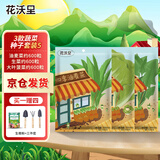 花沃里3款蔬菜种子套装5 油麦菜生菜籽大叶菠菜种子园艺工具3件套送肥料