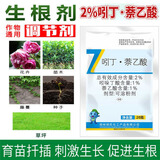 千百季吲丁萘乙酸强力生根粉剂月季花卉盆栽生根壮苗园艺调节剂花药