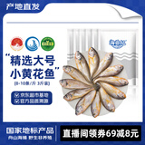 海鼎纪 舟山小黄鱼 海捕地标认证3斤 8-10条/斤 生鲜鱼类 源头直发
