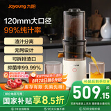 九阳（Joyoung）原汁机 家用多功能超大口径电动冰淇淋机全自动冷压榨果汁果蔬机渣汁分离Z12-LZ566
