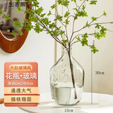 生喜朗玻璃瓶透明大肚花瓶插花水养水培容器吊钟富贵竹高级摆件客厅餐桌