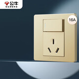 公牛（BULL）开关插座 G07系列 16A带开关插座86型插座面板 G07E204AS 香槟金