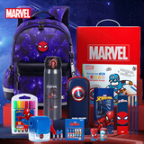 迪士尼（Disney）文具套装礼盒小学生男儿童文具礼盒13件套礼包学习用品儿童生日礼物3-6年级书包保温杯