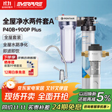 爱惠浦（Everpure）全屋厨房过滤用水 净水两件套A（前置过滤器P40B+EF-900P Plus净水器）