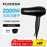 飞科（FLYCO）电吹风机家用便携冷热风护发速干吹风筒2000w大功率FH6231