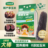 华田禾邦【大棒8根】东北黑糯玉米3.2~4斤 新鲜甜黏玉米粒 早餐苞米 烧烤