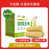 玉小胖&京觅【京东基地】25年新东北甜白糯玉米10根300g大棒6斤真空包装