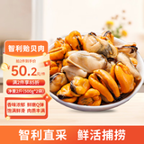 美加佳智利熟冻贻贝肉净重2斤（500g*2袋）100-200只 海鲜水产 中秋送礼