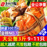 【活蟹】网兜蟹辽宁盘锦河蟹稻田河蟹礼盒螃蟹鲜活大闸蟹无绳净重 大公蟹丨2.8-3.1两【3斤】9-11只（满膏）