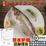 云映渔舟微山湖生态淡水鲈鱼新鲜活鱼现杀花鲈鱼鲈子生鲜清蒸河鱼顺丰水产 1斤/条淡水鲈鱼 净膛宰杀后损耗15％