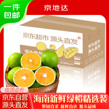 京地达海南正宗绿橙净重8斤一斤约3个左右青皮橙子水果手剥橙源头直发