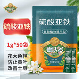 德沃多肥料硫酸亚铁1g*50袋铁肥预防黄叶调节养花肥料花卉盆栽植物通用型