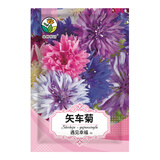 绿林花语矢车菊种子重瓣混色耐寒四季花卉种子庭院室内外阳台盆栽约500粒